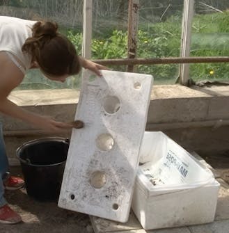 förberedelse av växthus förberedelse av växthus